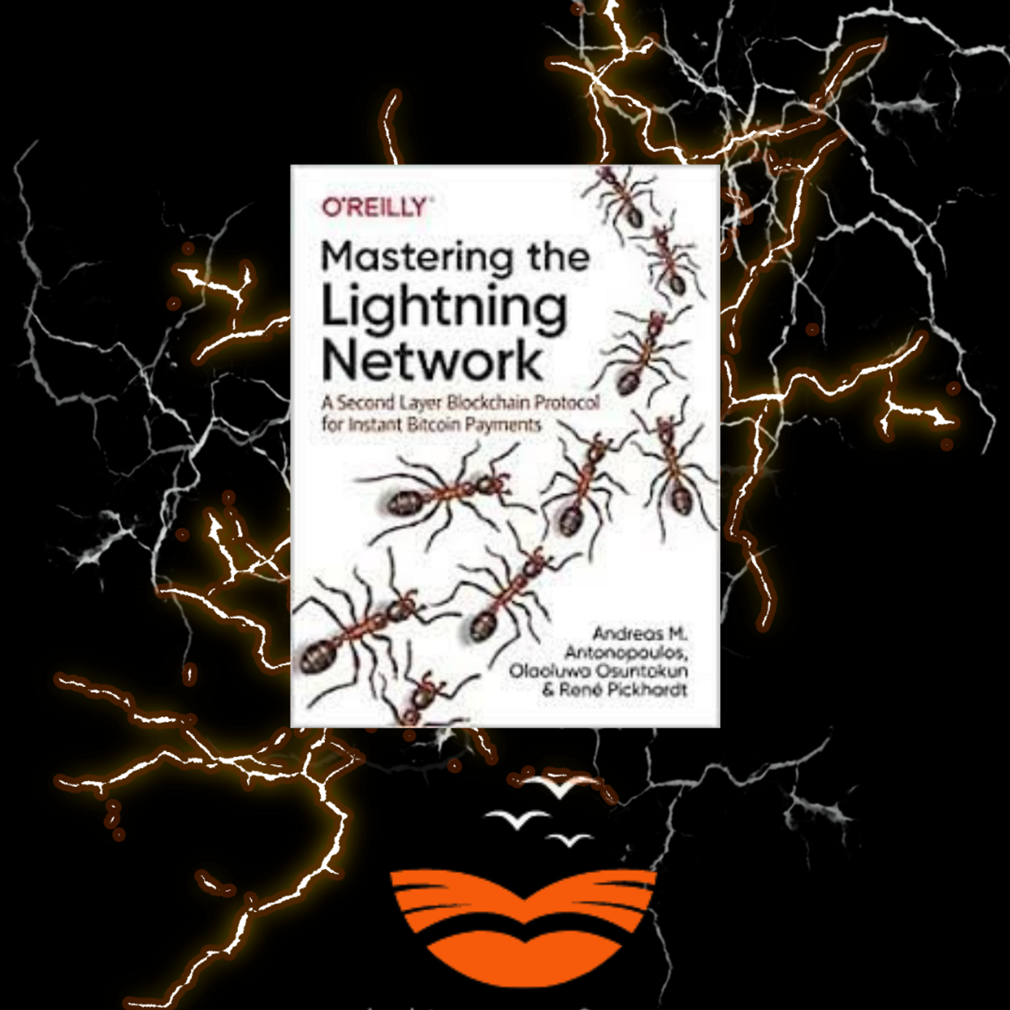 Mastering Lightning