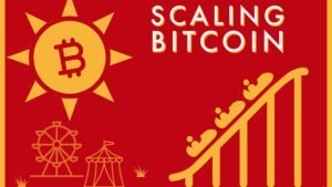 DÍA 10: ¿Cómo podemos escalar Bitcoin?