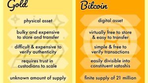 DÍA 11: ¿Tiene Bitcoin “valor intrínseco”?