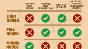 DÍA 7: Nodos completos de Bitcoin – “No confíes, Verifica”
