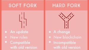 DÍA 9: La gran guerra del “Fork” de 2017