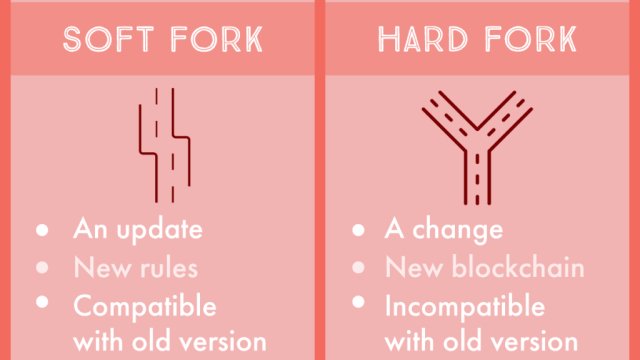 DÍA 9: La gran guerra del “Fork” de 2017